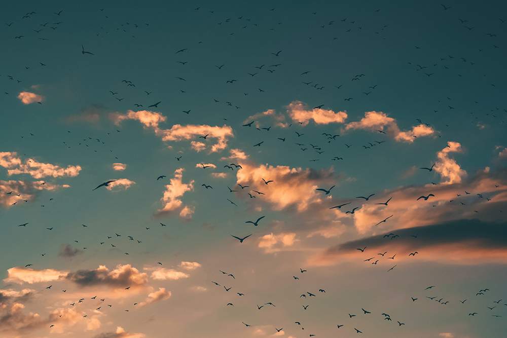 aron-visuals-5wxay7D7yjE-unsplash